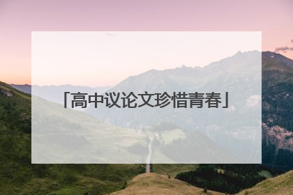 高中议论文珍惜青春