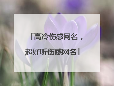 高冷伤感网名,超好听伤感网名