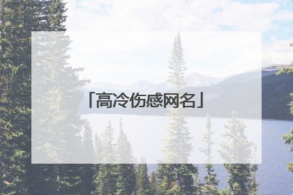 高冷伤感网名