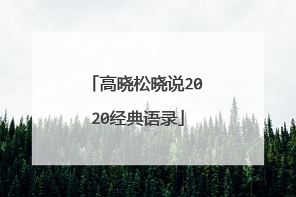 高晓松晓说2020经典语录