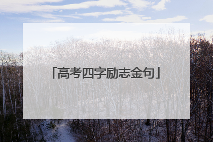 高考四字励志金句