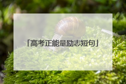 高考正能量励志短句