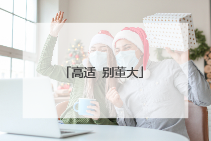 高适 别董大