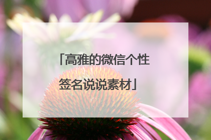 高雅的微信个性签名说说素材