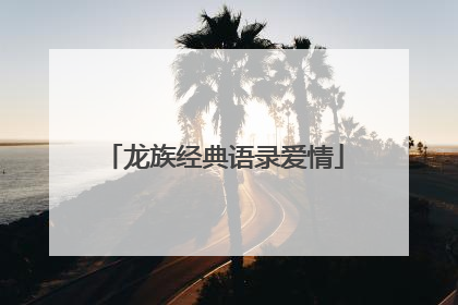 龙族经典语录爱情