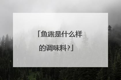 鱼露是什么样的调味料?