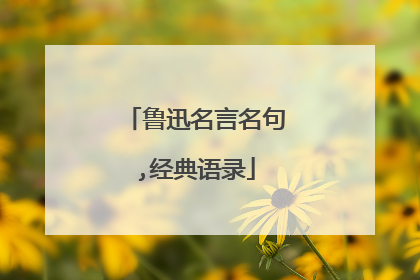 鲁迅名言名句,经典语录