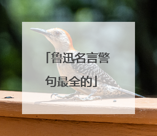 鲁迅名言警句最全的