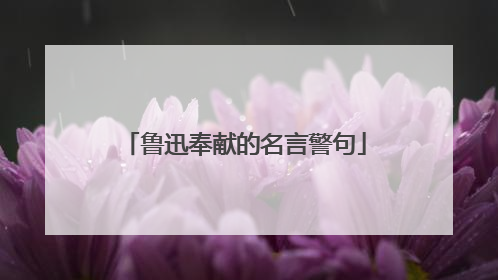 鲁迅奉献的名言警句