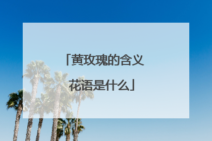黄玫瑰的含义 花语是什么
