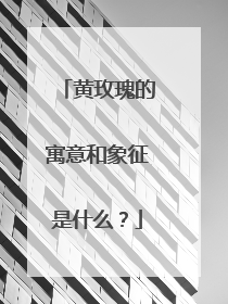 黄玫瑰的寓意和象征是什么?