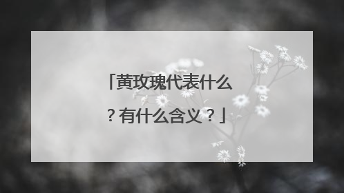 黄玫瑰代表什么?有什么含义?