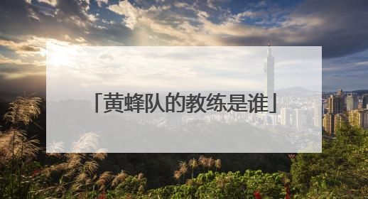 黄蜂队的教练是谁