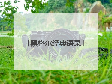 黑格尔经典语录