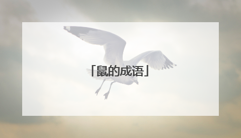鼠的成语