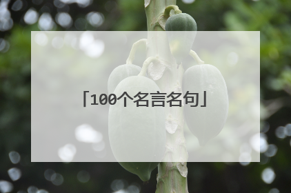100个名言名句