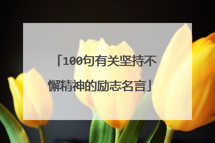 100句有关坚持不懈精神的励志名言