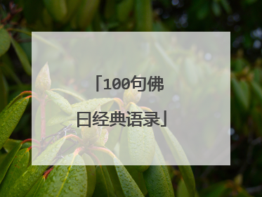 100句佛曰经典语录