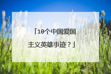 10个中国爱国主义英雄事迹?