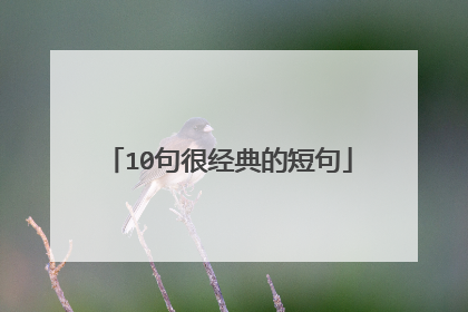 10句很经典的短句