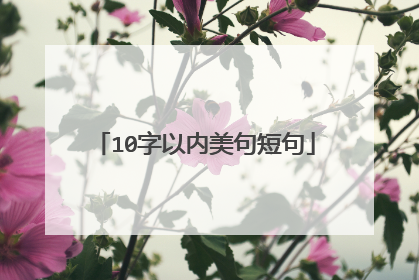 10字以内美句短句