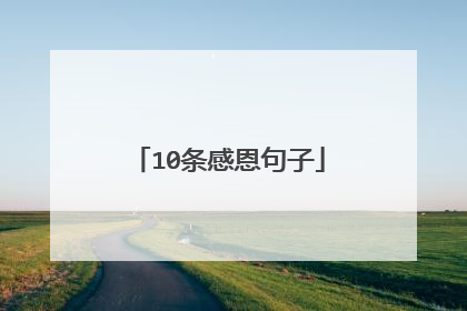 10条感恩句子