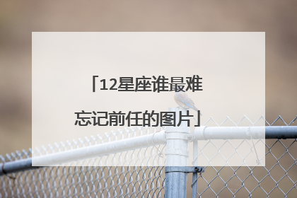 12星座谁最难忘记前任的图片