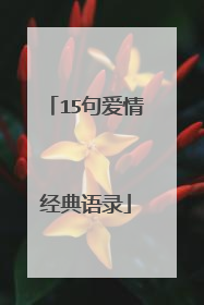 15句爱情经典语录