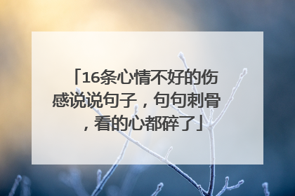 16条心情不好的伤感说说句子,句句刺骨,看的心都碎了