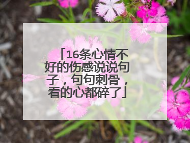 16条心情不好的伤感说说句子,句句刺骨,看的心都碎了
