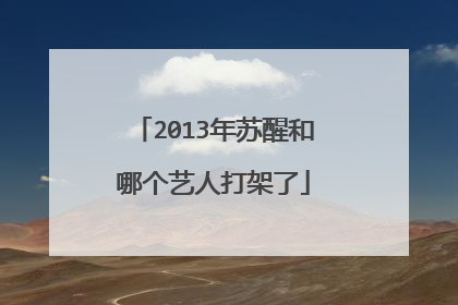 2013年苏醒和哪个艺人打架了