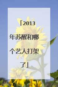 2013年苏醒和哪个艺人打架了