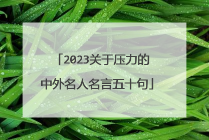 2023关于压力的中外名人名言五十句