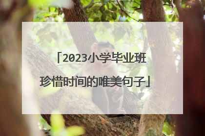 2023小学毕业班珍惜时间的唯美句子