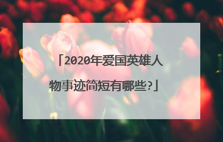 2020年爱国英雄人物事迹简短有哪些?