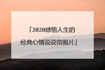 2020感悟人生的经典心情说说带图片