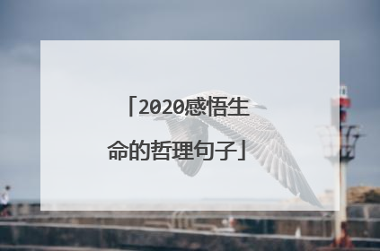 2020感悟生命的哲理句子