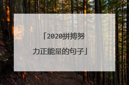 2020拼搏努力正能量的句子