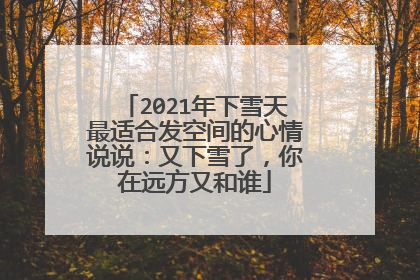 2021年下雪天最适合发空间的心情说说:又下雪了,你在远方又和谁