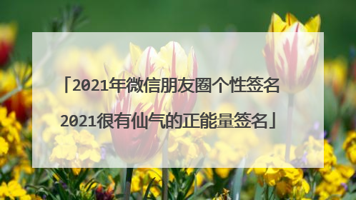 2021年微信朋友圈个性签名 2021很有仙气的正能量签名