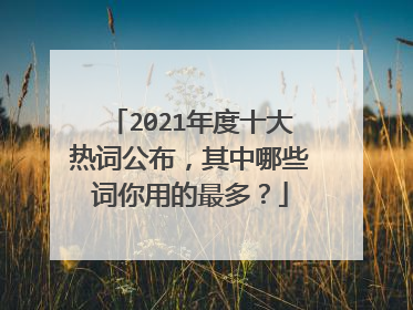 2021年度十大热词公布,其中哪些词你用的最多?