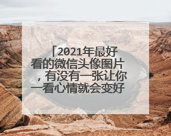 2021年最好看的微信头像图片,有没有一张让你一看心情就会变好的图片?
