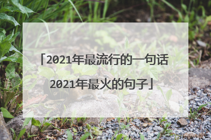 2021年最流行的一句话 2021年最火的句子