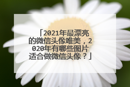 2021年最漂亮的微信头像唯美，2020年有哪些图片适合做微信头像？