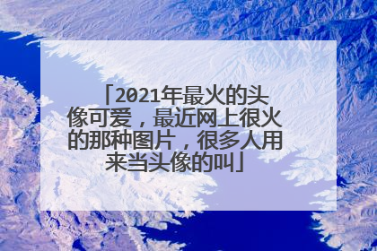 2021年最火的头像可爱,最近网上很火的那种图片,很多人用来当头像的叫