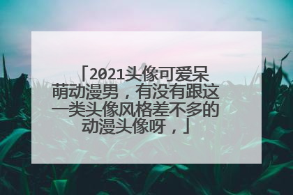2021头像可爱呆萌动漫男,有没有跟这一类头像风格差不多的动漫头像呀,