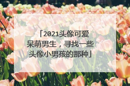 2021头像可爱呆萌男生,寻找一些头像小男孩的那种