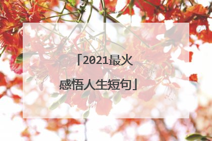 2021最火感悟人生短句