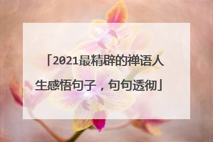 2021最精辟的禅语人生感悟句子,句句透彻