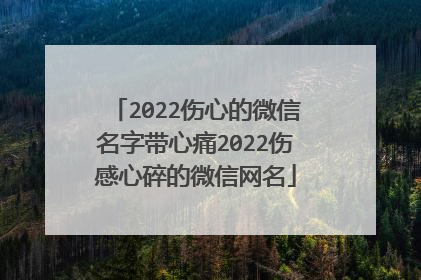 2022伤心的微信名字带心痛2022伤感心碎的微信网名